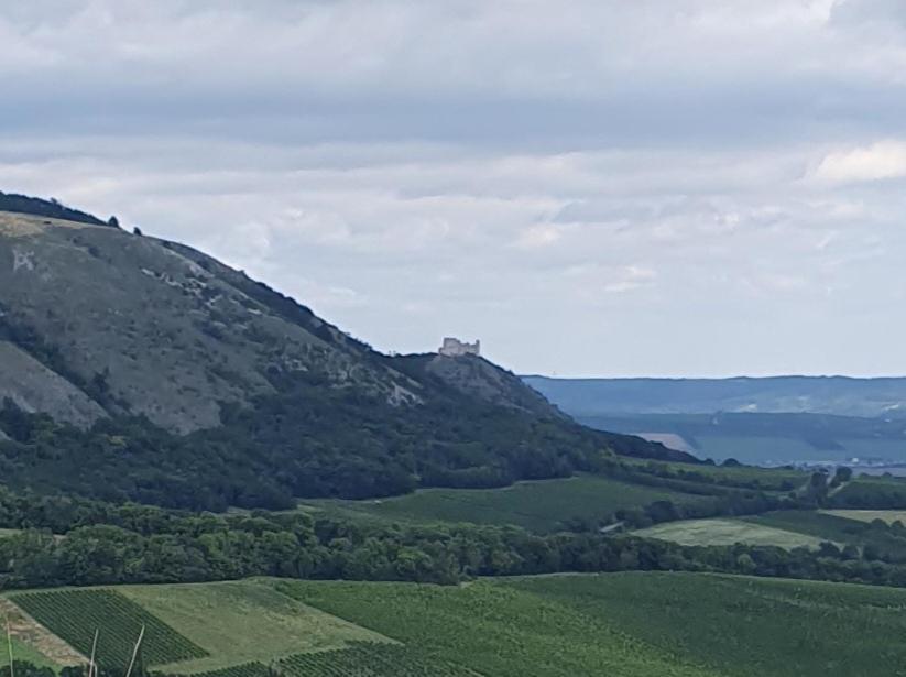Ubytovani Nad Sklipkem Valtice Exterior foto
