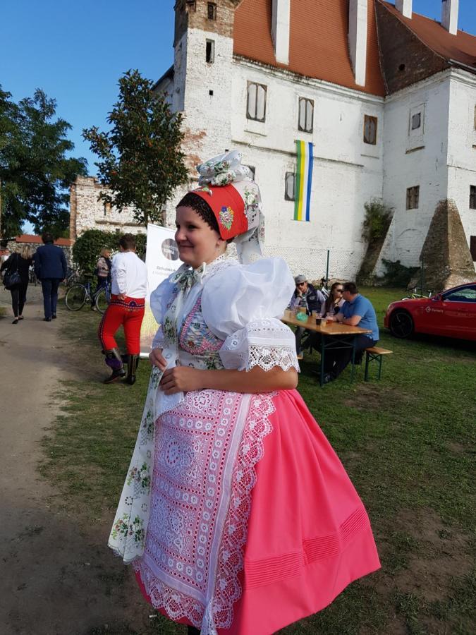 Ubytovani Nad Sklipkem Valtice Exterior foto